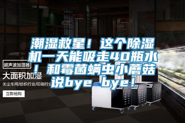 潮濕救星！這個除濕機一天能吸走40瓶水！和霉菌螨蟲小蘑菇說bye bye！