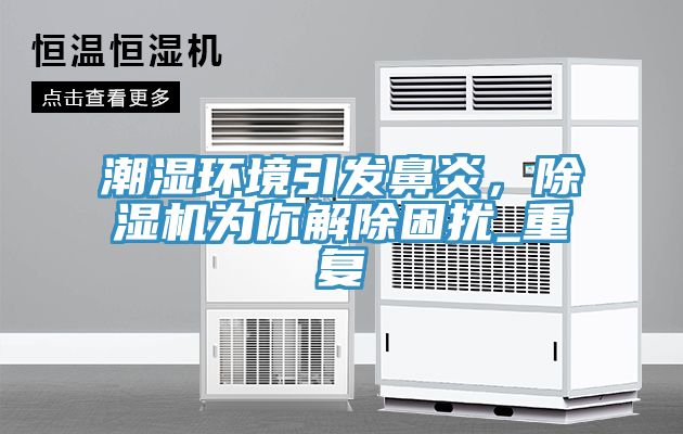 潮濕環(huán)境引發(fā)鼻炎，除濕機(jī)為你解除困擾_重復(fù)