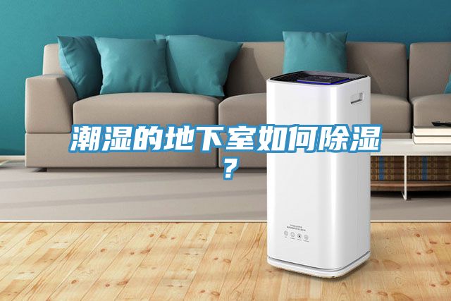 潮濕的地下室如何除濕？