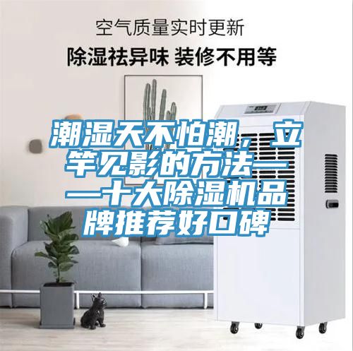 潮濕天不怕潮，立竿見影的方法——十大除濕機品牌推薦好口碑