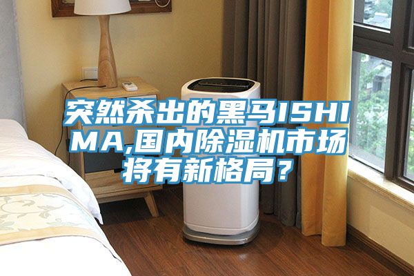 突然殺出的黑馬ISHIMA,國(guó)內(nèi)除濕機(jī)市場(chǎng)將有新格局？