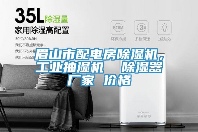 眉山市配電房除濕機(jī)，工業(yè)抽濕機(jī)  除濕器廠家 價(jià)格