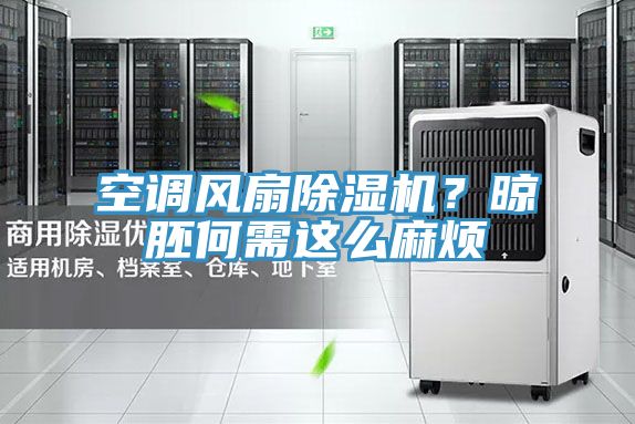 空調(diào)風(fēng)扇除濕機(jī)？晾胚何需這么麻煩