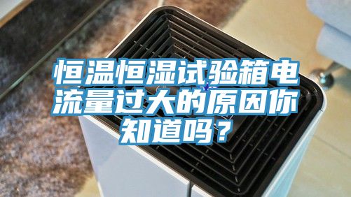 恒溫恒濕試驗(yàn)箱電流量過大的原因你知道嗎？