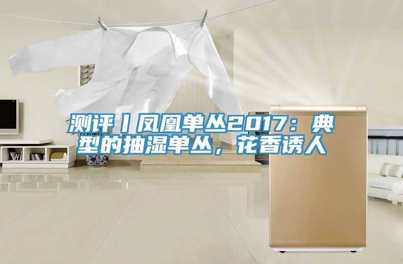 測評丨鳳凰單叢2017：典型的抽濕單叢，花香誘人