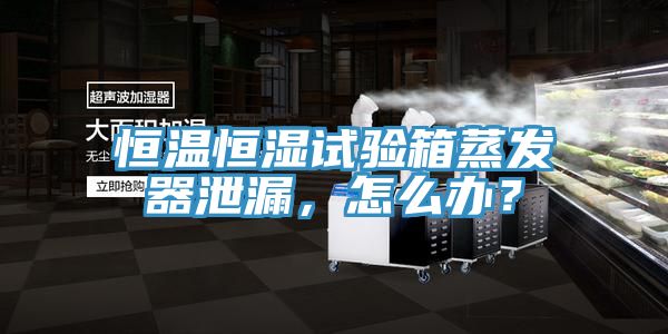 恒溫恒濕試驗(yàn)箱蒸發(fā)器泄漏，怎么辦？