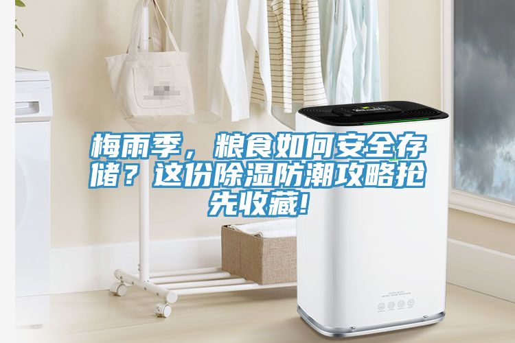 梅雨季，糧食如何安全存儲？這份除濕防潮攻略搶先收藏!