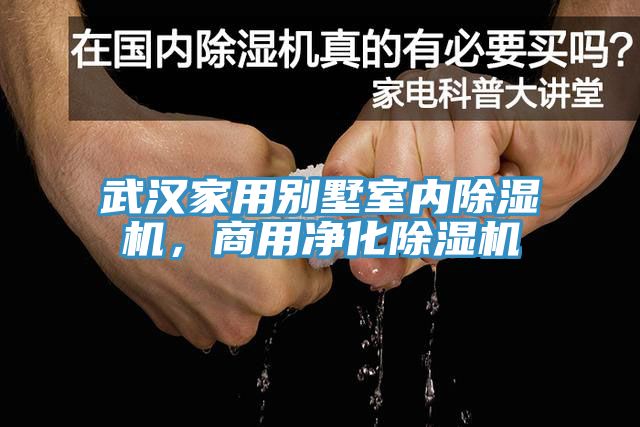 武漢家用別墅室內(nèi)除濕機，商用凈化除濕機
