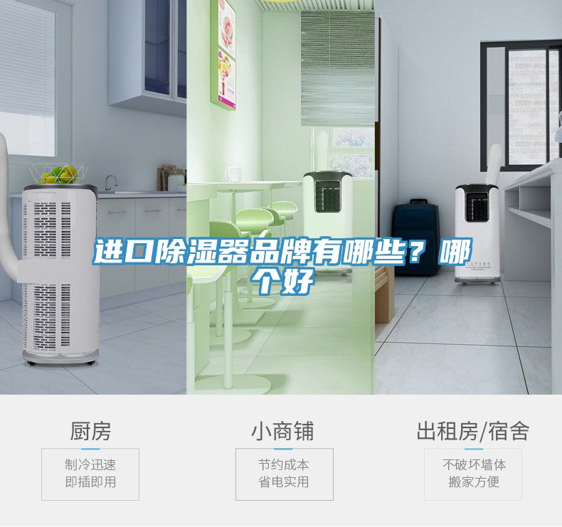 進口除濕器品牌有哪些？哪個好