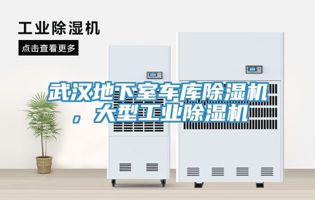 武漢地下室車庫除濕機，大型工業(yè)除濕機