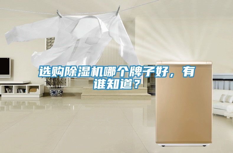 選購除濕機哪個牌子好，有誰知道？