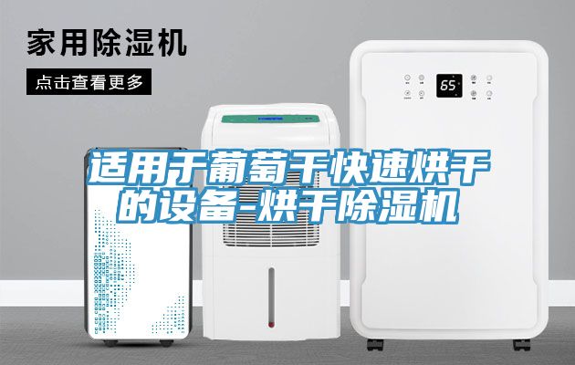 適用于葡萄干快速烘干的設(shè)備-烘干除濕機(jī)