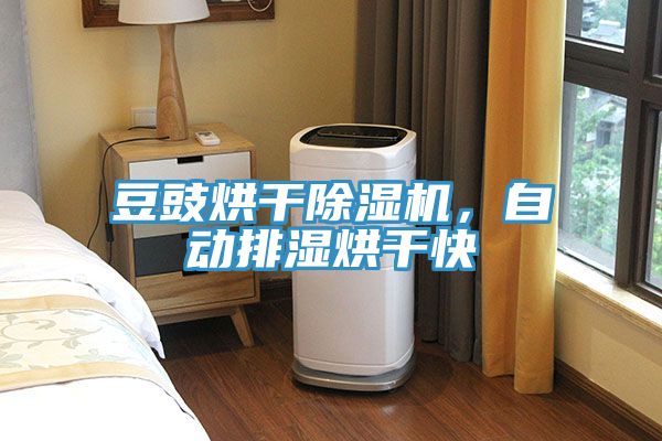 豆豉烘干除濕機(jī)，自動排濕烘干快