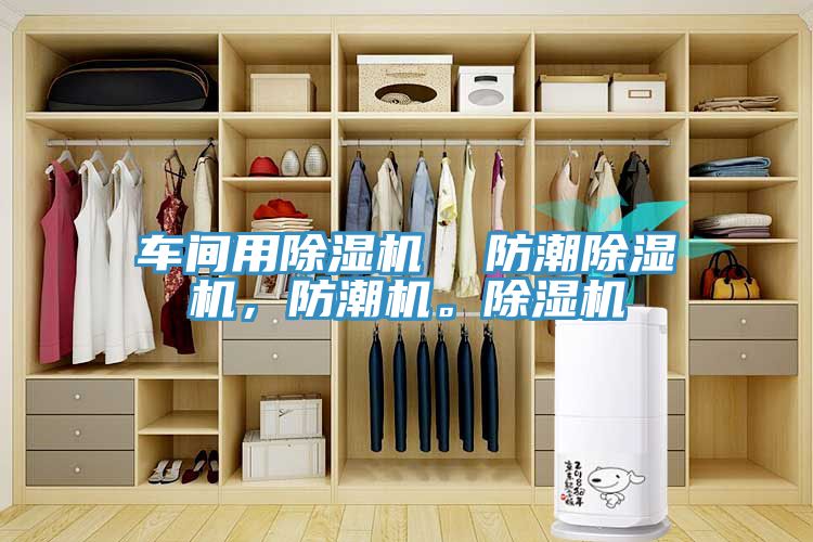車間用除濕機(jī)  防潮除濕機(jī)，防潮機(jī)。除濕機(jī)