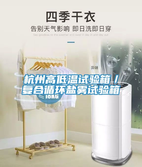 杭州高低溫試驗箱／復合循環(huán)鹽霧試驗箱