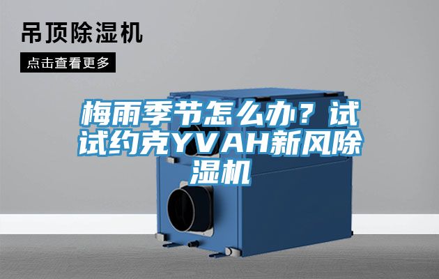 梅雨季節(jié)怎么辦？試試約克YVAH新風(fēng)除濕機(jī)