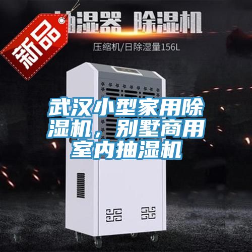 武漢小型家用除濕機，別墅商用室內(nèi)抽濕機