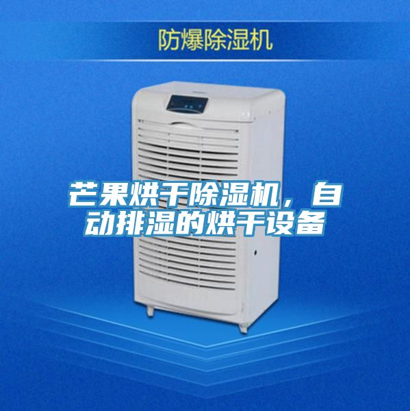 芒果烘干除濕機(jī)，自動(dòng)排濕的烘干設(shè)備