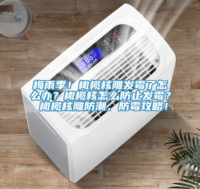 梅雨季！橄欖核雕發(fā)霉了怎么辦？橄欖核怎么防止發(fā)霉？ 橄欖核雕防潮、防霉攻略！