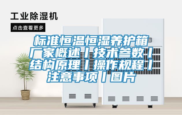 標(biāo)準(zhǔn)恒溫恒濕養(yǎng)護(hù)箱廠家概述丨技術(shù)參數(shù)丨結(jié)構(gòu)原理丨操作規(guī)程丨注意事項丨圖片