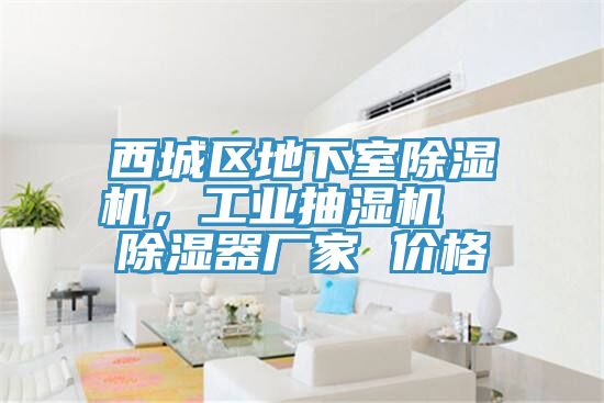 西城區(qū)地下室除濕機(jī)，工業(yè)抽濕機(jī)  除濕器廠家 價(jià)格