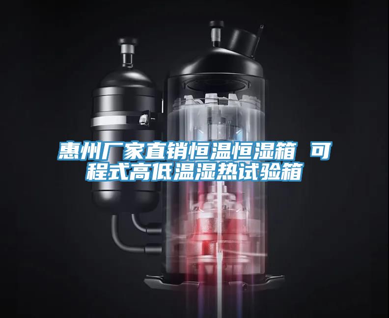 惠州廠家直銷(xiāo)恒溫恒濕箱 可程式高低溫濕熱試驗(yàn)箱