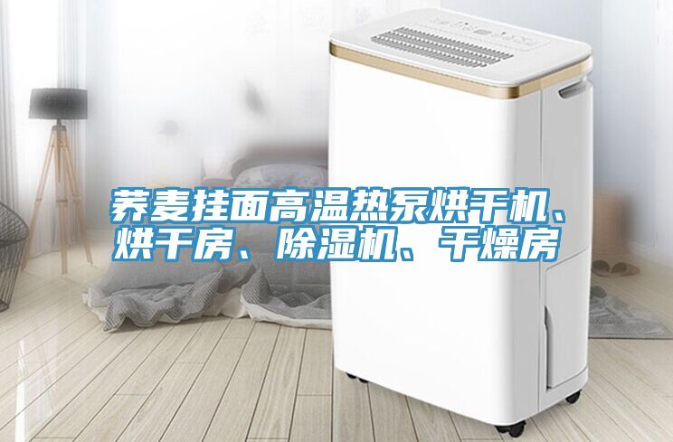 蕎麥掛面高溫熱泵烘干機、烘干房、除濕機、干燥房