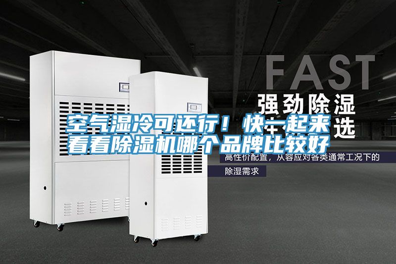 空氣濕冷可還行！快一起來看看除濕機(jī)哪個(gè)品牌比較好