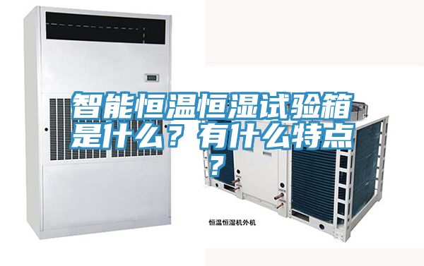 智能恒溫恒濕試驗箱是什么？有什么特點？