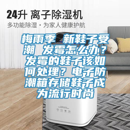 梅雨季 新鞋子受潮 發(fā)霉怎么辦？發(fā)霉的鞋子該如何處理？電子防潮箱存儲鞋子成為流行時尚
