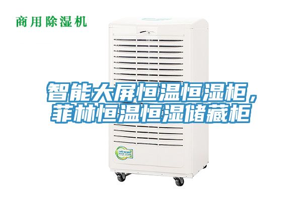 智能大屏恒溫恒濕柜，菲林恒溫恒濕儲藏柜