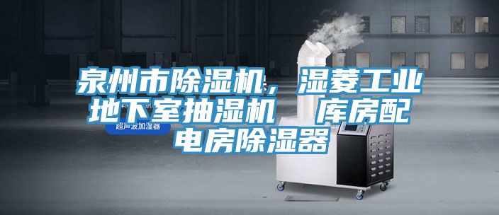 泉州市除濕機，濕菱工業(yè)地下室抽濕機  庫房配電房除濕器