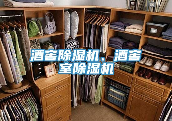 酒窖除濕機(jī)、酒窖室除濕機(jī)