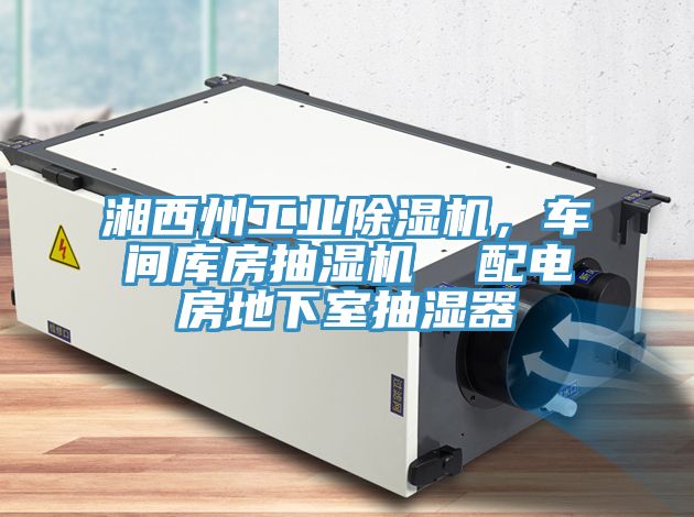 湘西州工業(yè)除濕機(jī)，車間庫房抽濕機(jī)  配電房地下室抽濕器