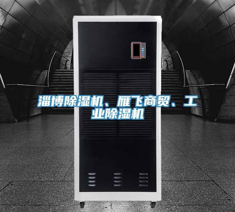 淄博除濕機、雁飛商貿(mào)、工業(yè)除濕機