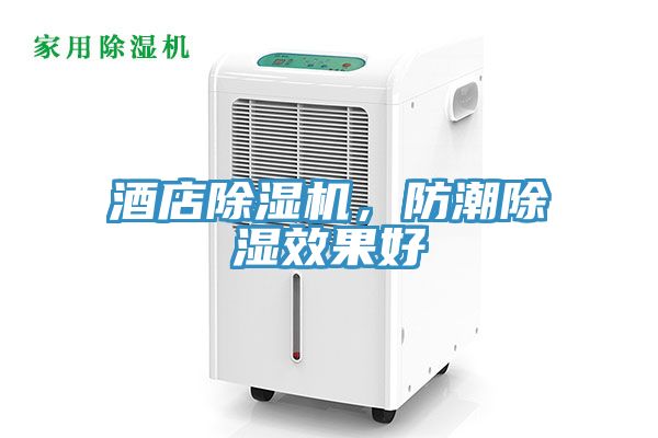 酒店除濕機(jī)，防潮除濕效果好