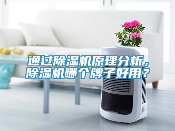 通過除濕機原理分析，除濕機哪個牌子好用？