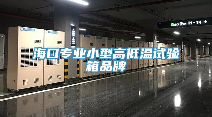 ?？趯I(yè)小型高低溫試驗(yàn)箱品牌