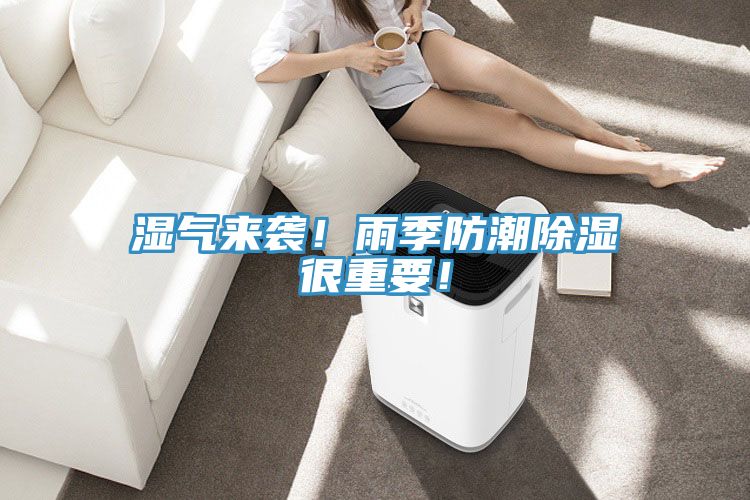 濕氣來襲！雨季防潮除濕很重要！