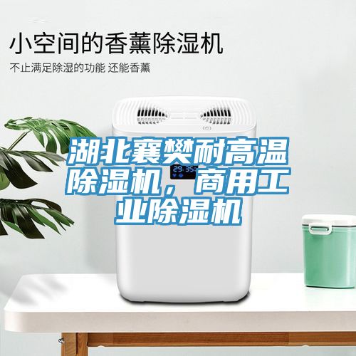 湖北襄樊耐高溫除濕機，商用工業(yè)除濕機