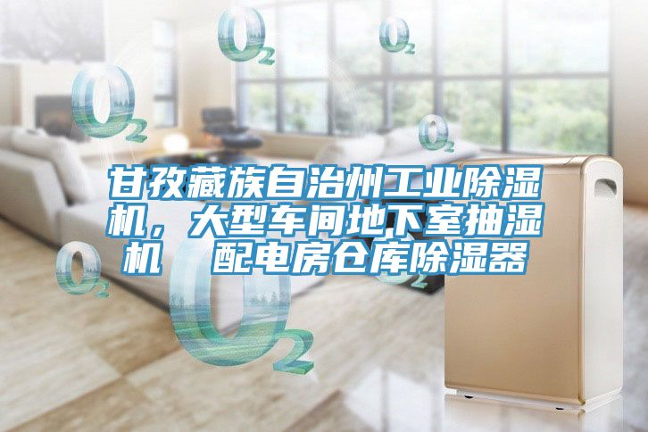 甘孜藏族自治州工業(yè)除濕機(jī)，大型車間地下室抽濕機(jī)  配電房倉庫除濕器