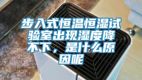 步入式恒溫恒濕試驗(yàn)室出現(xiàn)濕度降不下，是什么原因呢