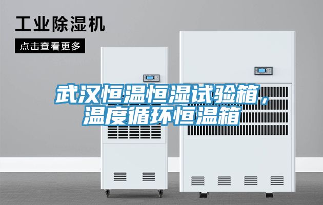 武漢恒溫恒濕試驗(yàn)箱，溫度循環(huán)恒溫箱