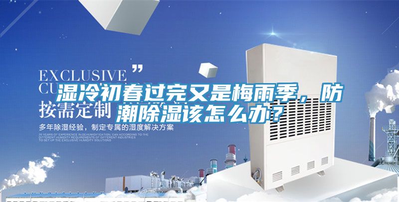 濕冷初春過完又是梅雨季，防潮除濕該怎么辦？