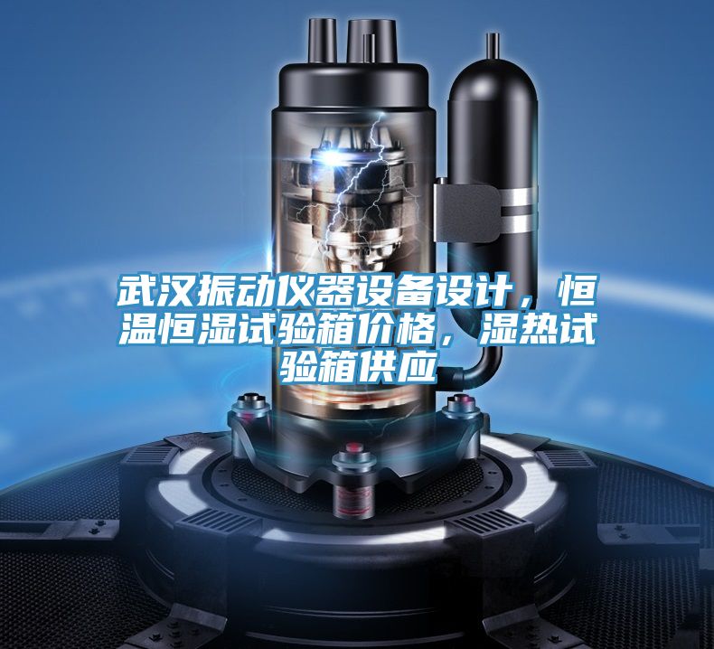 武漢振動(dòng)儀器設(shè)備設(shè)計(jì)，恒溫恒濕試驗(yàn)箱價(jià)格，濕熱試驗(yàn)箱供應(yīng)