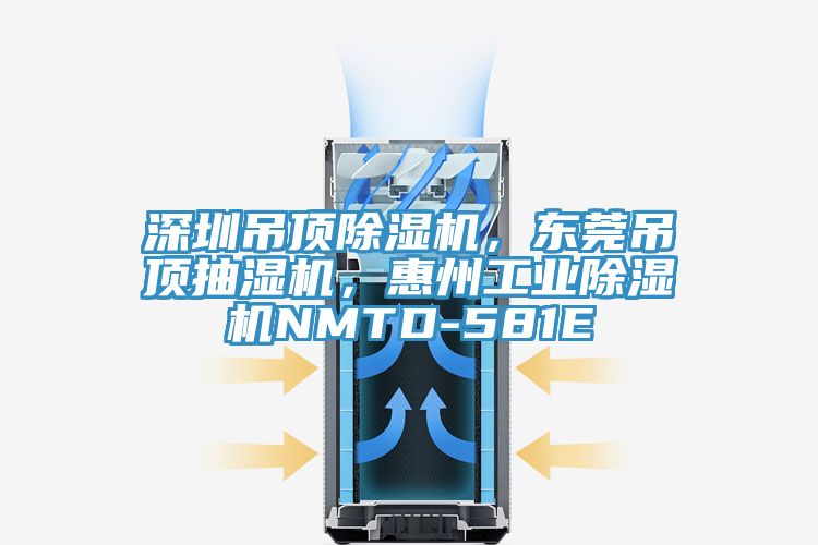 深圳吊頂除濕機，東莞吊頂抽濕機，惠州工業(yè)除濕機NMTD-581E