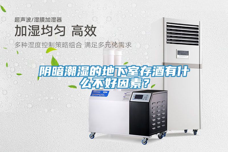 陰暗潮濕的地下室存酒有什么不好因素？
