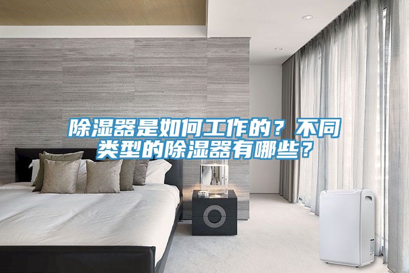 除濕器是如何工作的？不同類型的除濕器有哪些？