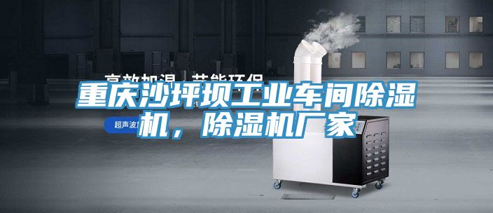 重慶沙坪壩工業(yè)車間除濕機，除濕機廠家