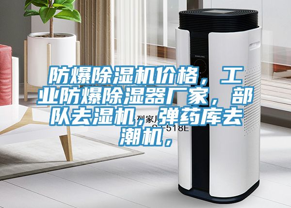 防爆除濕機價格，工業(yè)防爆除濕器廠家，部隊去濕機，彈藥庫去潮機，